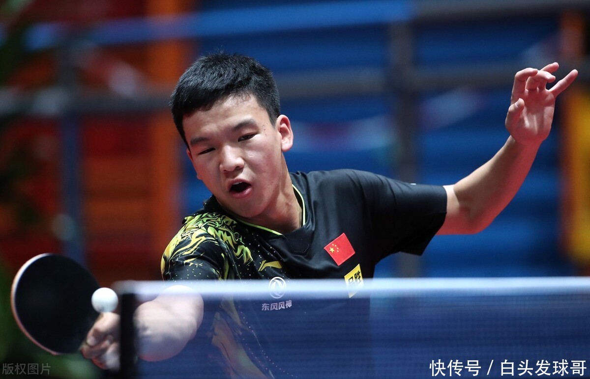 机制与转化 机制与转化